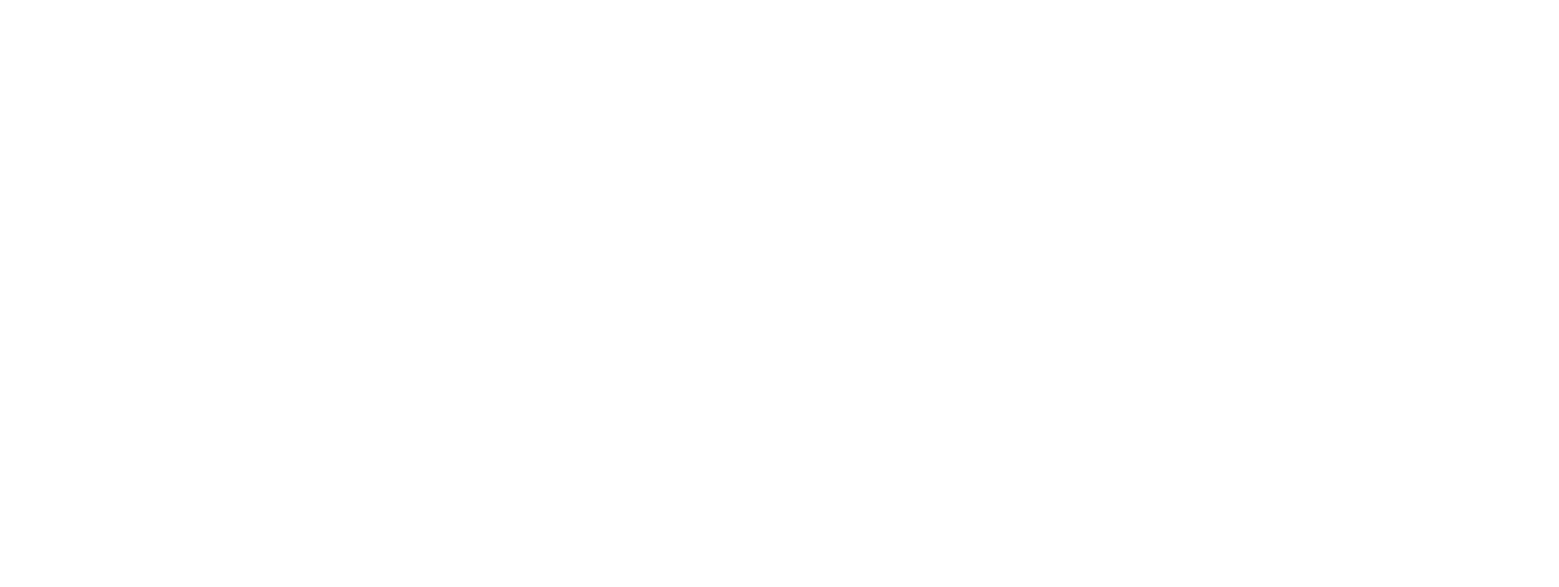 besser brinkmann